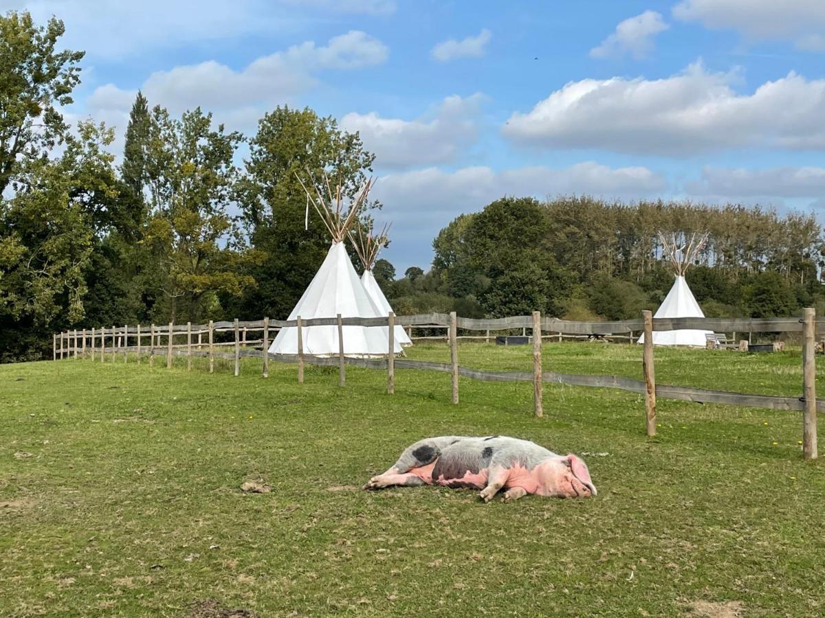 Luxuszelt Terra-tipike, Tipi A La Ferme Entre Terre Et Trébry